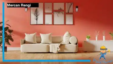 Mercan Rengi Duvar Boyası
