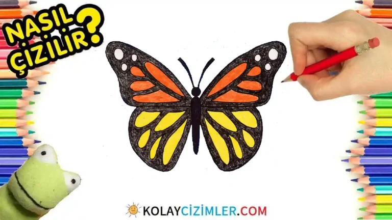 Kelebek Çizimi