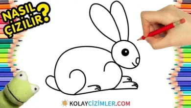 tavşan çizimi