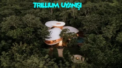 Trillium Uyanışı projesi, konsept mimari projeler