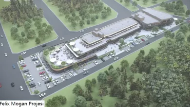 Ace Mimarlık, Felix Mogan Projesi