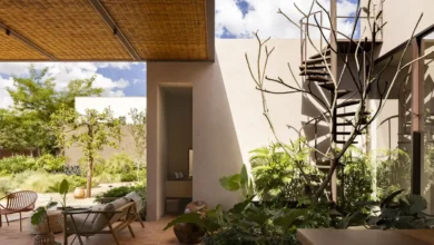 Avocado Tree House konut projesi 2