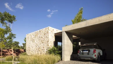 Avocado Tree House konut projesi