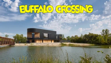 Buffalo Crossing projesi