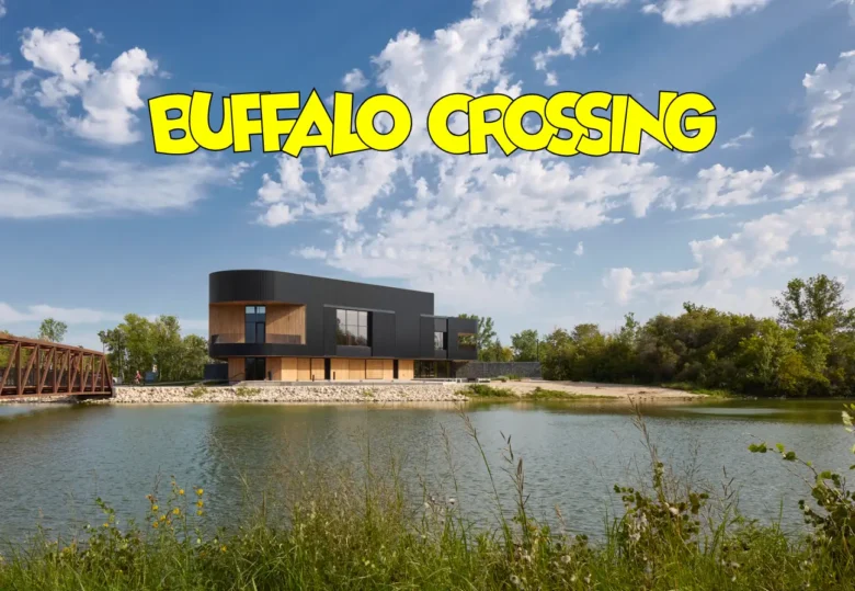Buffalo Crossing projesi