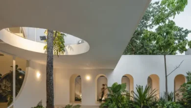 Eclipse House projesi peyzaj tasarimi