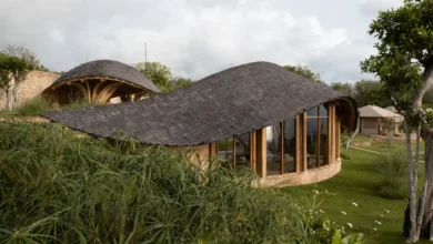 Fish Tail Tea Room, Cafe tasarımları