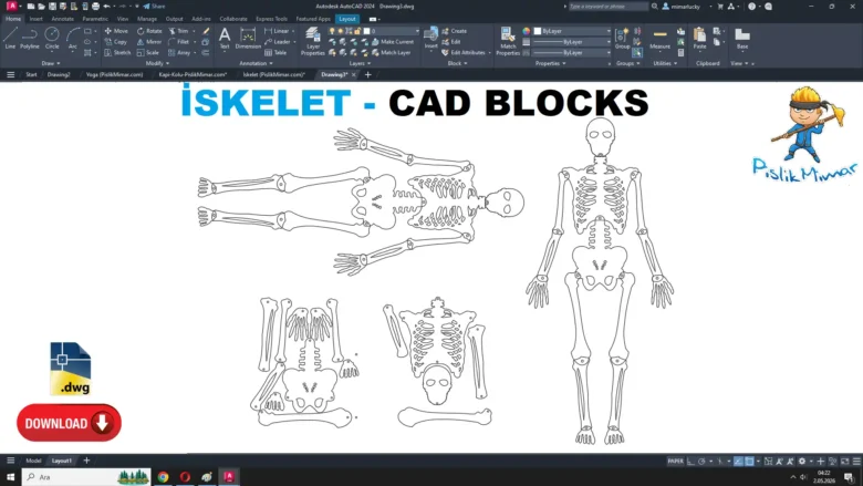 iskelet dwg, Skeleton DWG, Esqueleto DWG, Squelette DWG, Scheletro DWG, 骨格 DWG, Esqueleto DWG, 骨架 DWG