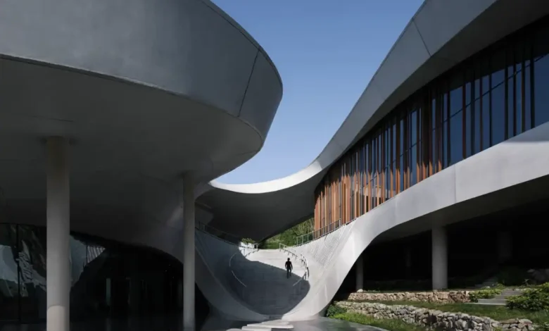 longquan restoran projesi