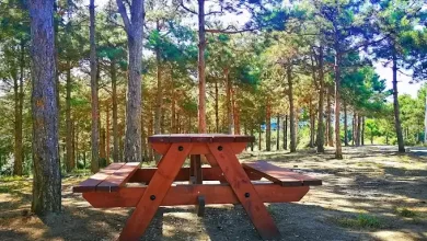 mimar sinan kent ormanı - 2