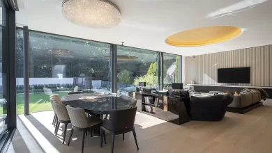 salon render 3dmax