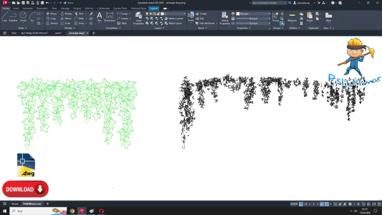 sarmaşık dwg çizimi, ivy dwg, autocad drawing