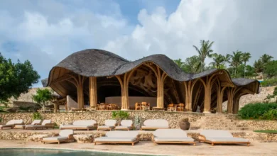 shell restoran projesi